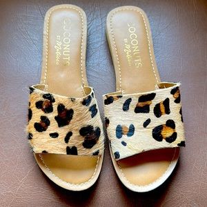 Leopard slides
